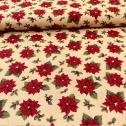 Webware Weihnachtsstern