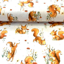 Jersey Forest Animals, Eichkatzerl